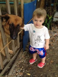 Killi & Yuki at therapy